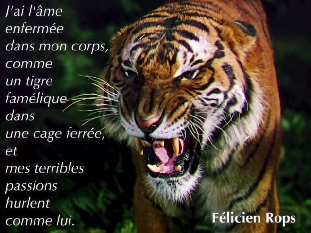 Association d’idées #3