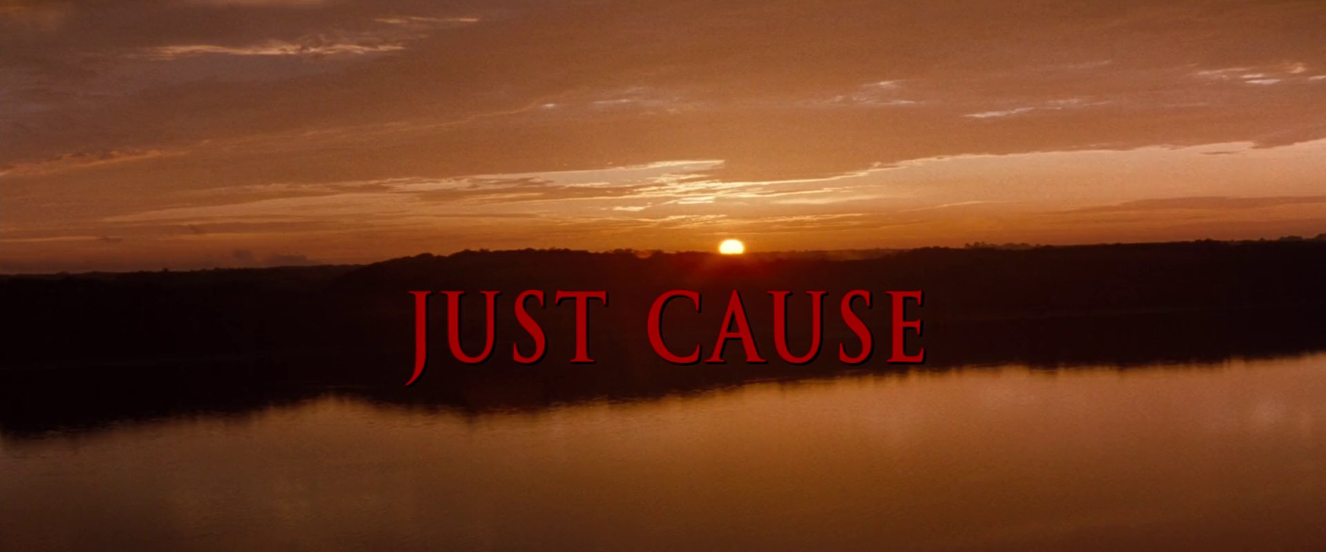 Juste Cause (États-Unis, 1995) de Arne Glimcher