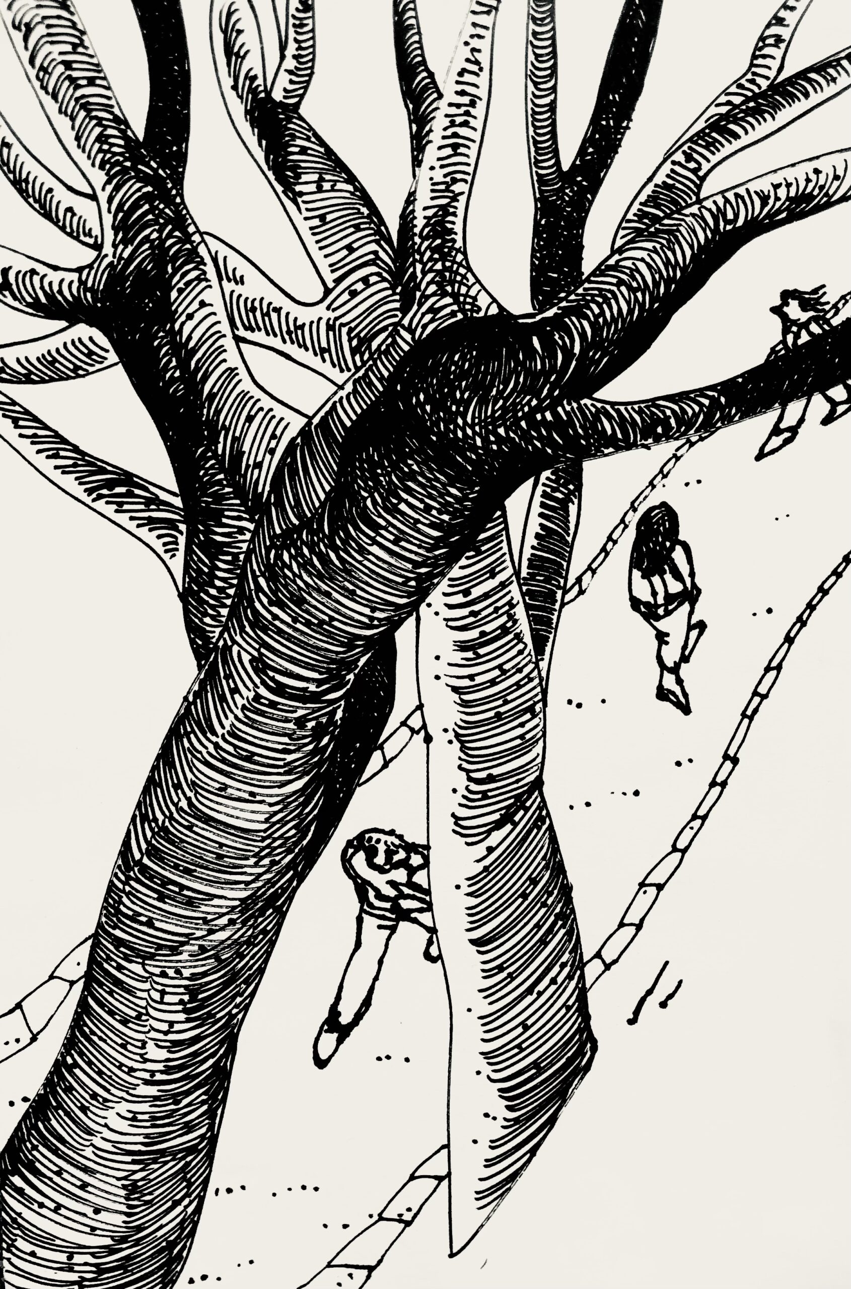 une allée sous les arbres