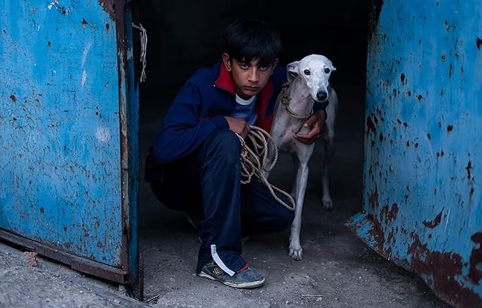 « Tardes sin sueño » (2/3) – Sélection de films ibériques sortis en 2025